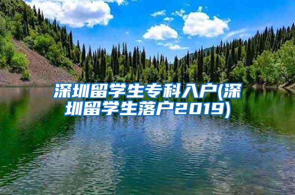 深圳留学生专科入户(深圳留学生落户2019)