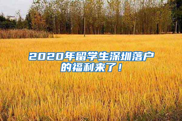 2020年留学生深圳落户的福利来了！