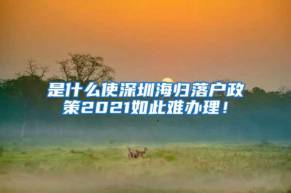 是什么使深圳海归落户政策2021如此难办理！