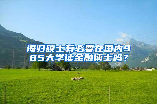 海归硕士有必要在国内985大学读金融博士吗？
