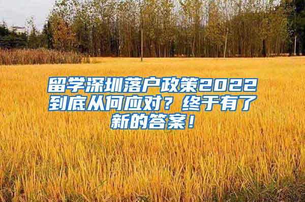 留学深圳落户政策2022到底从何应对？终于有了新的答案！