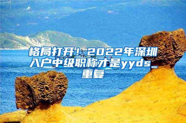 格局打开！2022年深圳入户中级职称才是yyds_重复