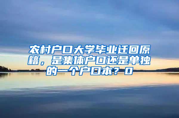 农村户口大学毕业迁回原籍，是集体户口还是单独的一个户口本？0