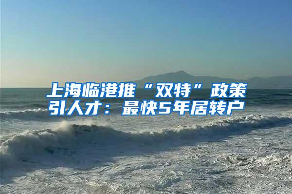 上海临港推“双特”政策引人才：最快5年居转户