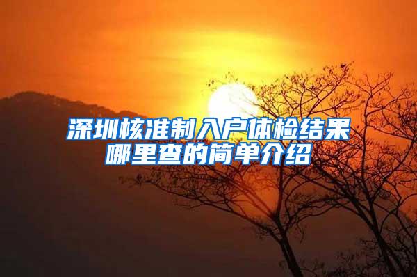 深圳核准制入户体检结果哪里查的简单介绍