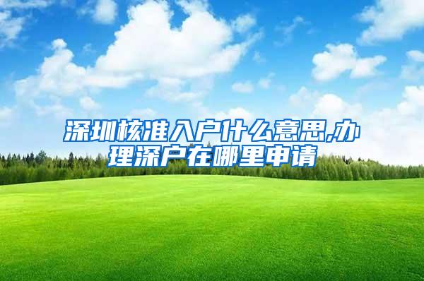 深圳核准入户什么意思,办理深户在哪里申请