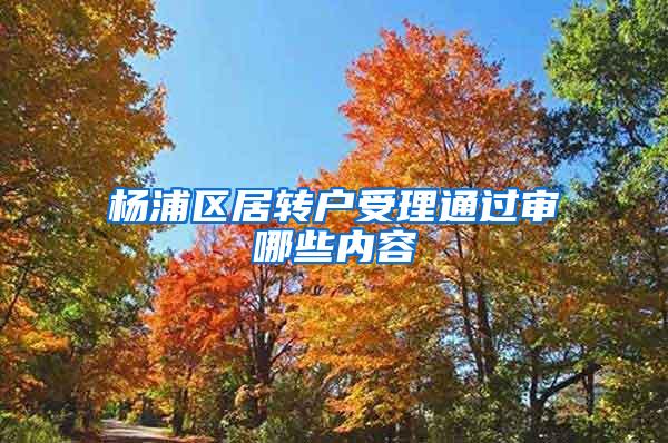 杨浦区居转户受理通过审哪些内容