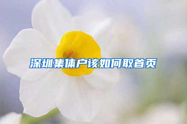 深圳集体户该如何取首页