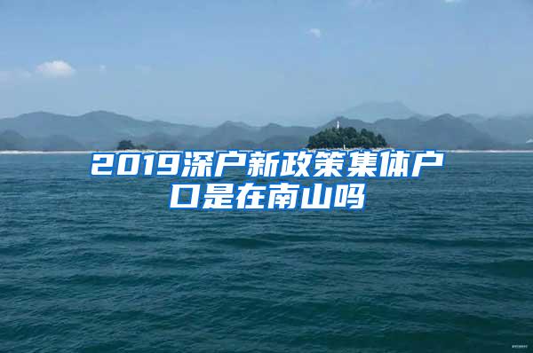 2019深户新政策集体户口是在南山吗