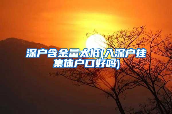 深户含金量太低(入深户挂集体户口好吗)