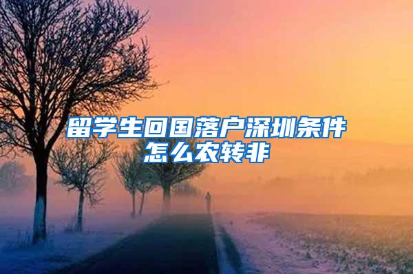 留学生回国落户深圳条件怎么农转非