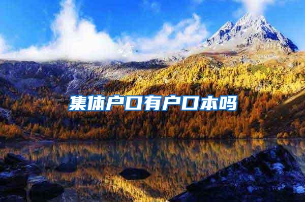 集体户口有户口本吗