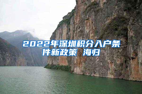 2022年深圳积分入户条件新政策 海归