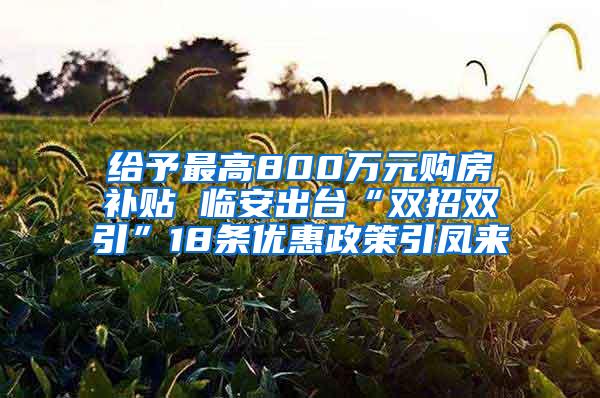 给予最高800万元购房补贴 临安出台“双招双引”18条优惠政策引凤来