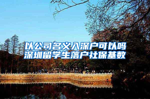 以公司名义入深户可以吗深圳留学生落户社保基数