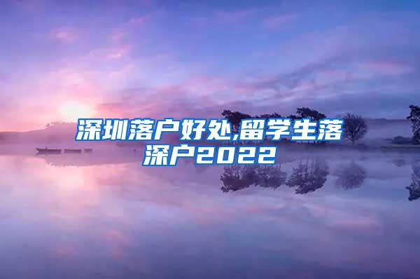 深圳落户好处,留学生落深户2022