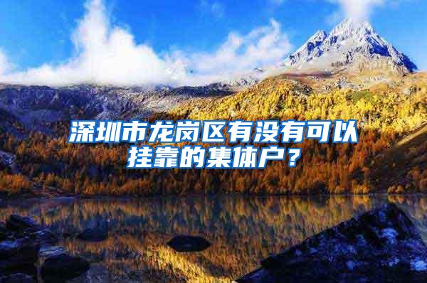 深圳市龙岗区有没有可以挂靠的集体户？