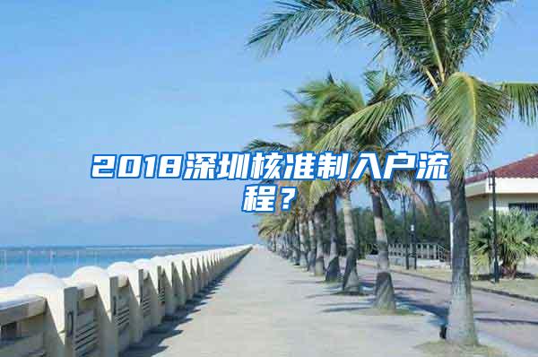 2018深圳核准制入户流程？