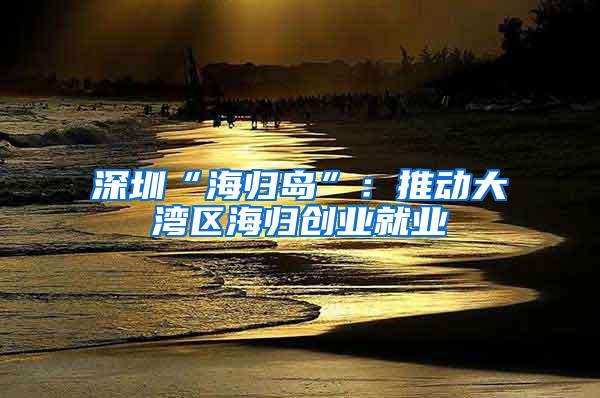 深圳“海归岛”：推动大湾区海归创业就业