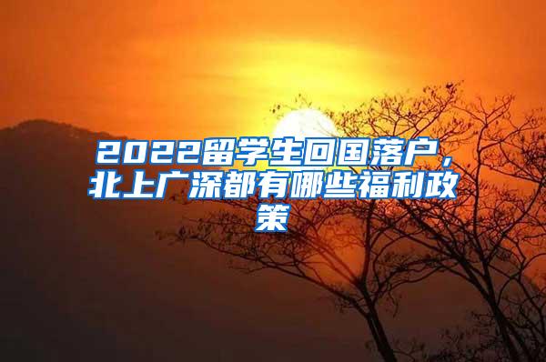 2022留学生回国落户，北上广深都有哪些福利政策