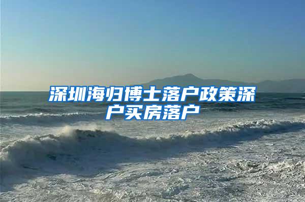 深圳海归博士落户政策深户买房落户