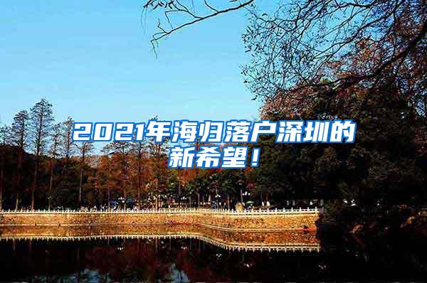 2021年海归落户深圳的新希望！