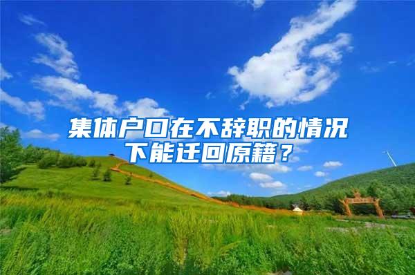 集体户口在不辞职的情况下能迁回原籍？