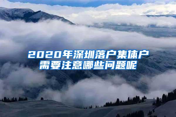 2020年深圳落户集体户需要注意哪些问题呢