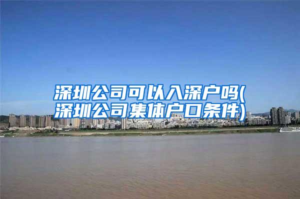 深圳公司可以入深户吗(深圳公司集体户口条件)