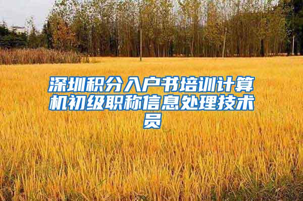 深圳积分入户书培训计算机初级职称信息处理技术员