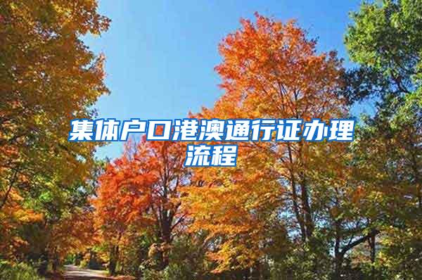 集体户口港澳通行证办理流程