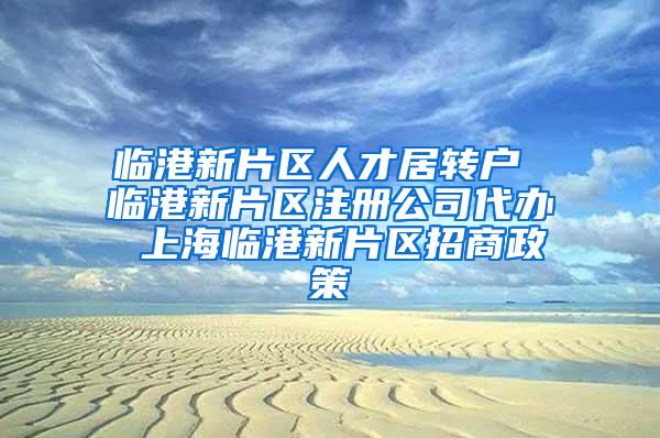 临港新片区人才居转户 临港新片区注册公司代办 上海临港新片区招商政策