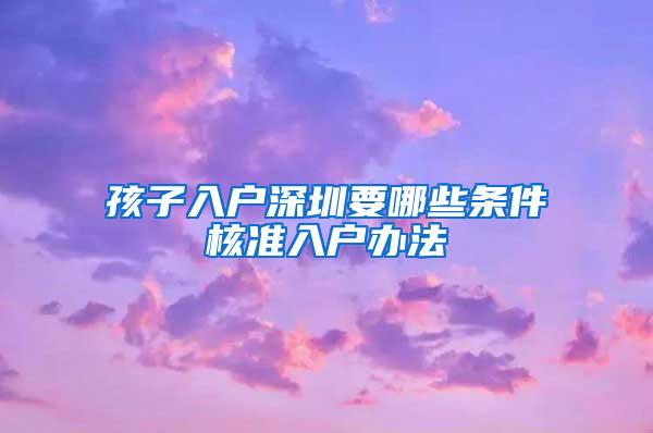 孩子入户深圳要哪些条件核准入户办法