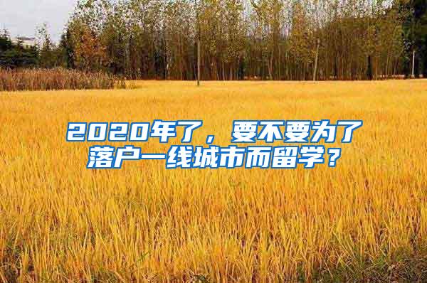 2020年了，要不要为了落户一线城市而留学？