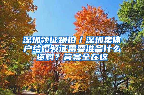 深圳领证跟拍／深圳集体户结婚领证需要准备什么资料？答案全在这