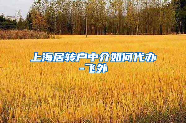 上海居转户中介如何代办-飞外