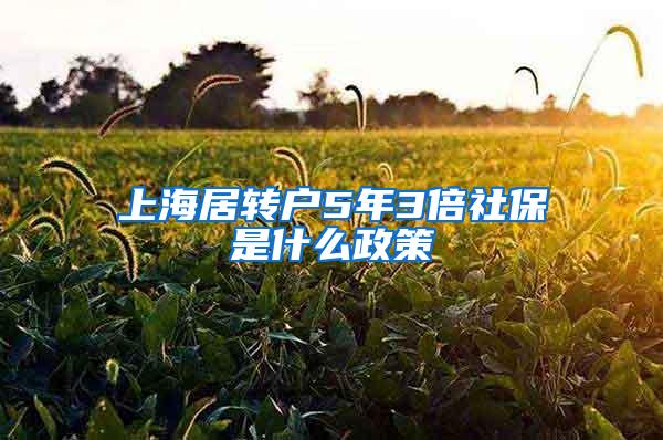 上海居转户5年3倍社保是什么政策