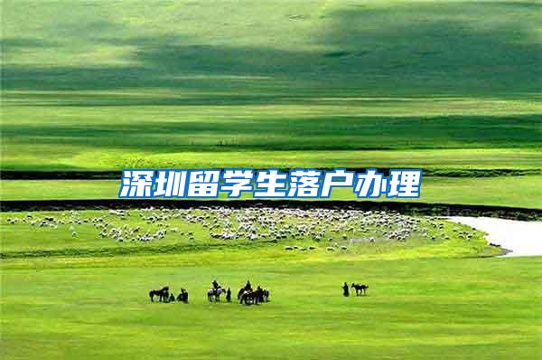 深圳留学生落户办理