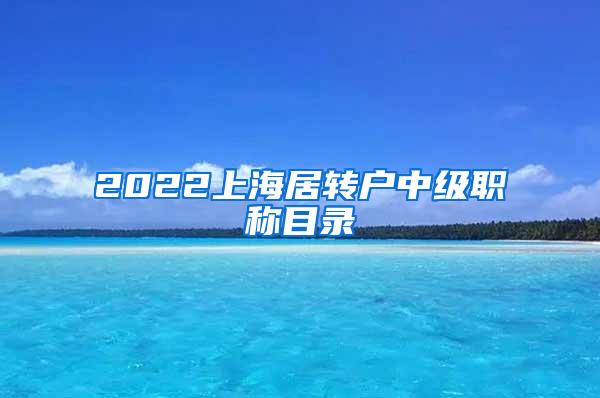 2022上海居转户中级职称目录