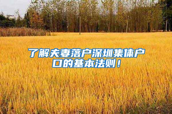 了解夫妻落户深圳集体户口的基本法则！