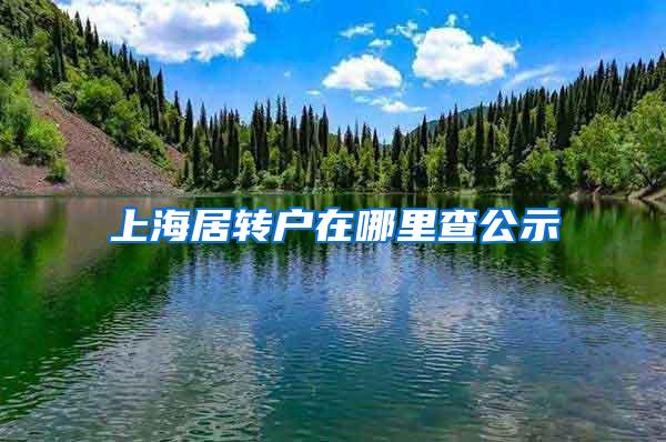 上海居转户在哪里查公示