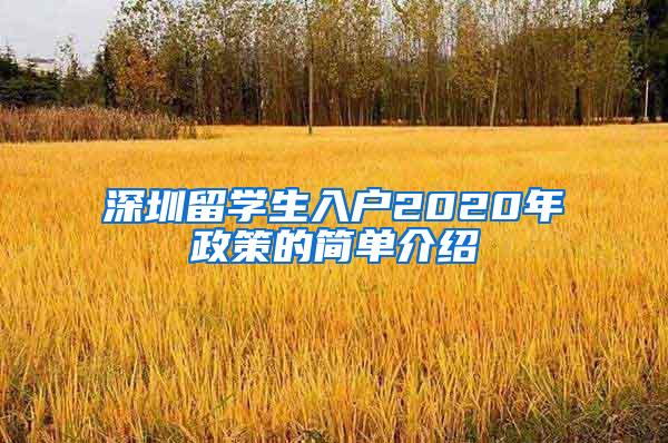 深圳留学生入户2020年政策的简单介绍