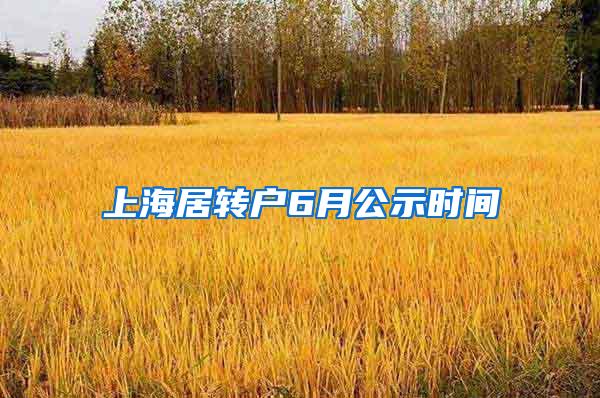 上海居转户6月公示时间