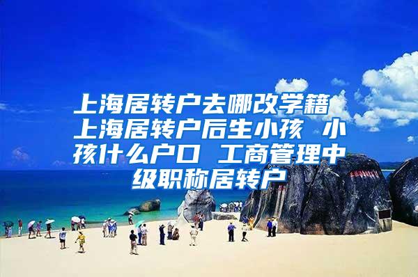 上海居转户去哪改学籍 上海居转户后生小孩 小孩什么户口 工商管理中级职称居转户