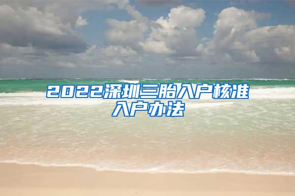 2022深圳三胎入户核准入户办法