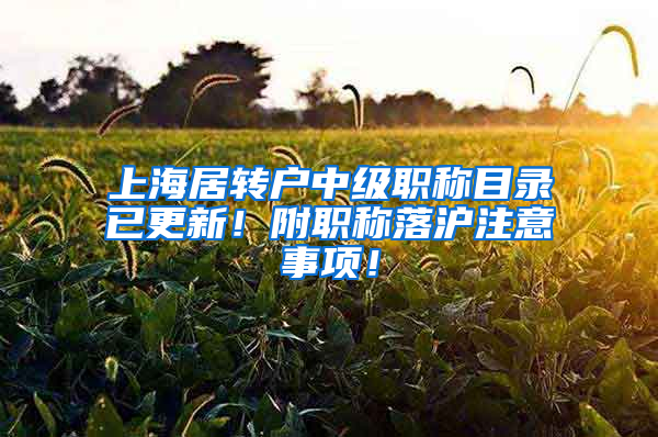 上海居转户中级职称目录已更新！附职称落沪注意事项！