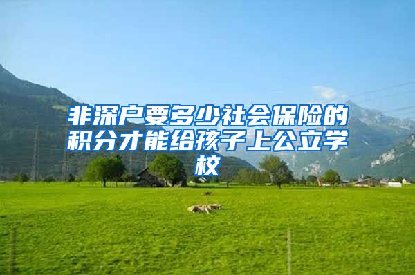 非深户要多少社会保险的积分才能给孩子上公立学校