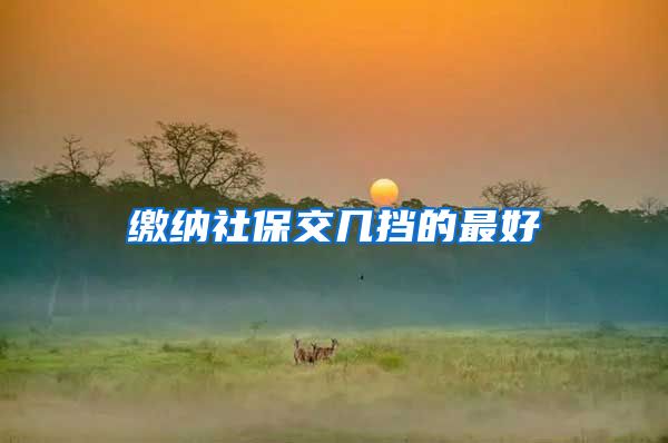 缴纳社保交几挡的最好