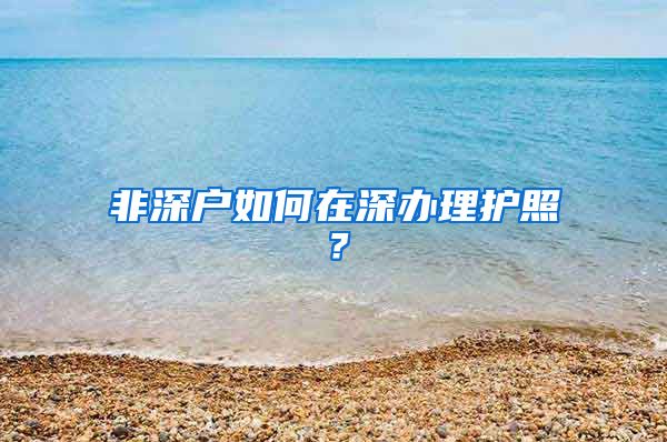 非深户如何在深办理护照？
