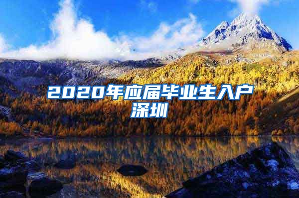 2020年应届毕业生入户深圳